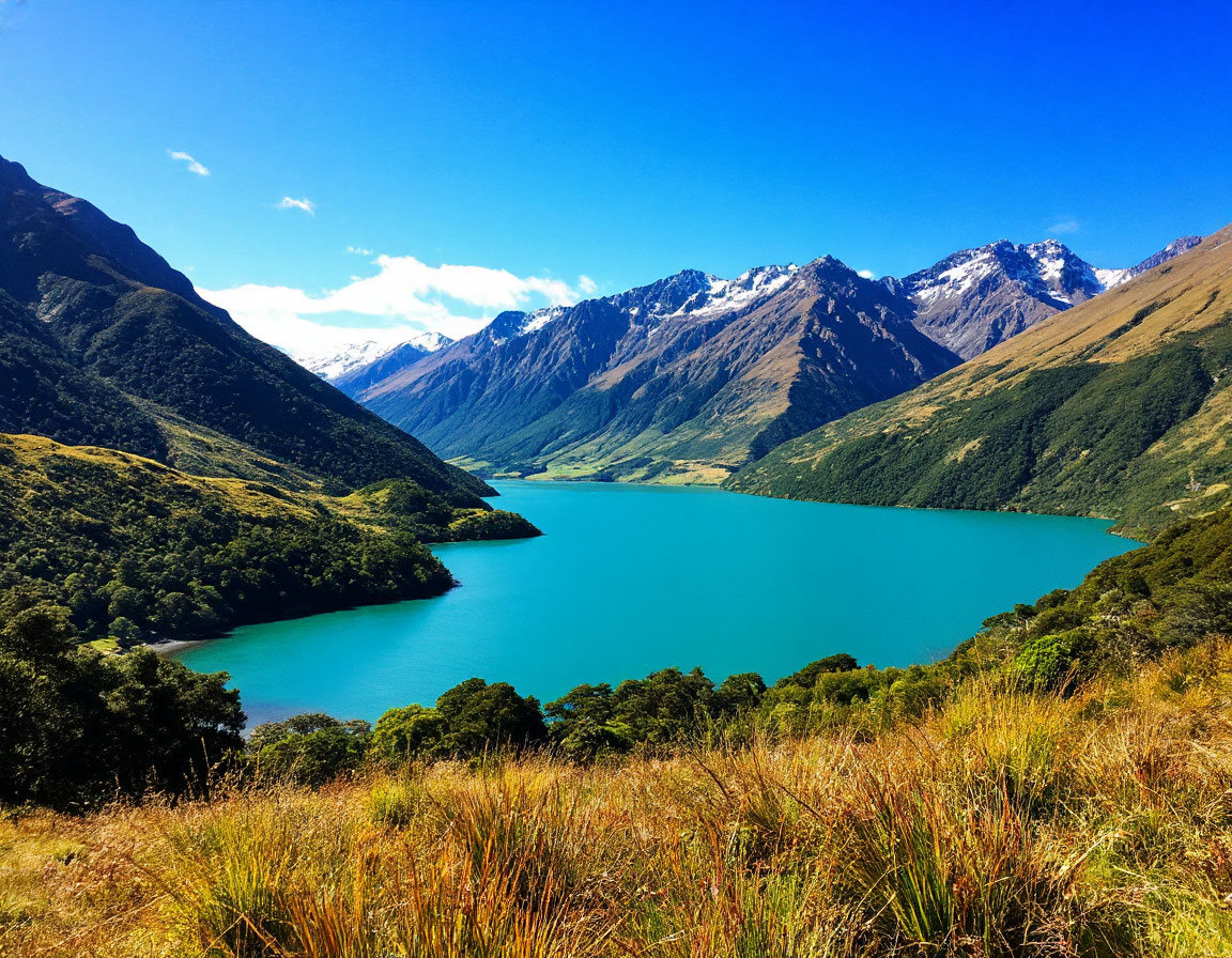 New Zealand
